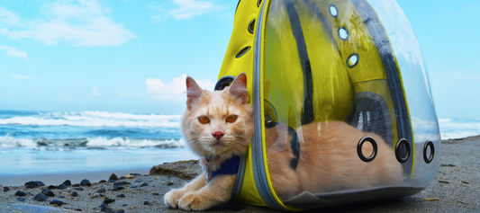 The Ultimate Portable Travel Bag for Pets