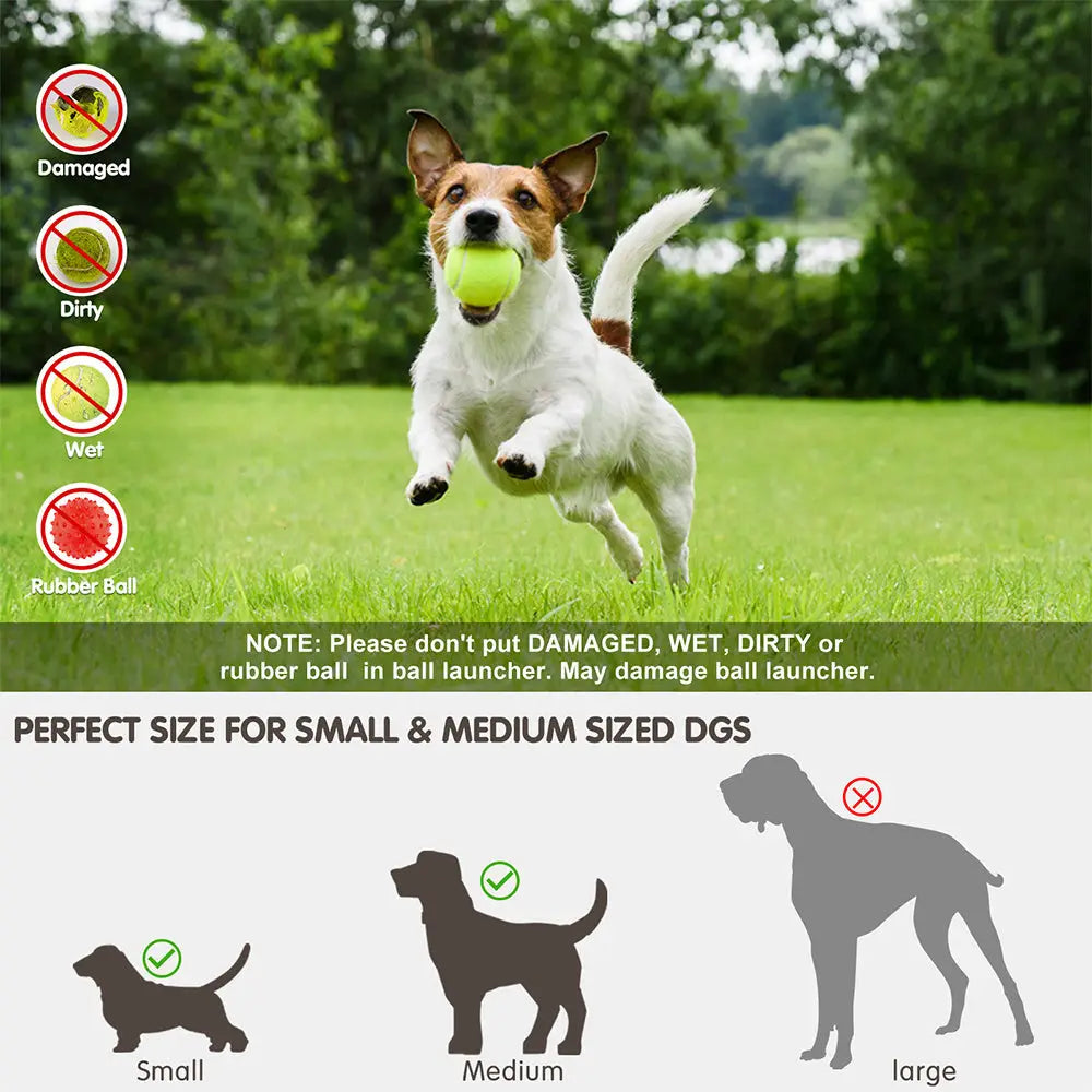 Portable Automatic Dog Ball Launcher for Backyard Use