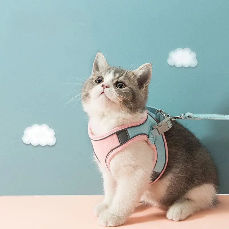 walking harness for catssoft cat harness and leash setsecure cat harness for walkingpet harness and leash for catspadded cat harness and leashno-escape cat harness and leashlightweight cat harness setescape-proof cat harness and leasheasy fit cat harness setdurable cat harness and leash setcomfortable cat harness for walkingcat walking leash and harnesscat leash and harness for travelcat harness with adjustable strapscat harness for safe outdoor walkscat harness for outdoor walkingcat harness and leash setb