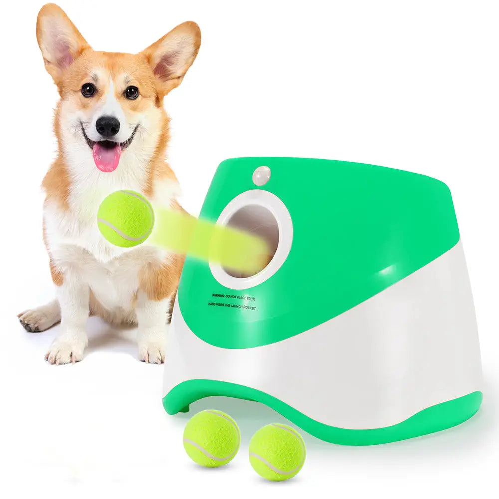 Portable Automatic Dog Ball Launcher for Backyard Use