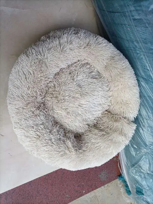 Cozy memory foam dog bed with removable cover featuring a soft faux fur exterior for ultimate pet comfort.