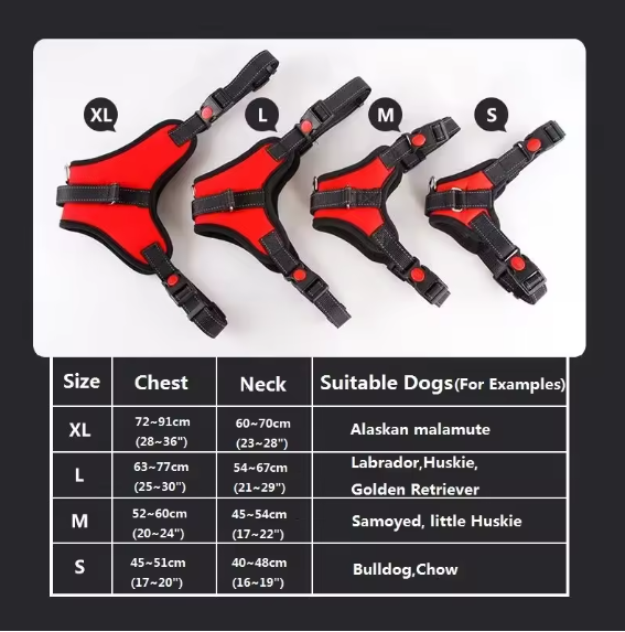Comfort Fit Adjustable Dog Harness for Pets