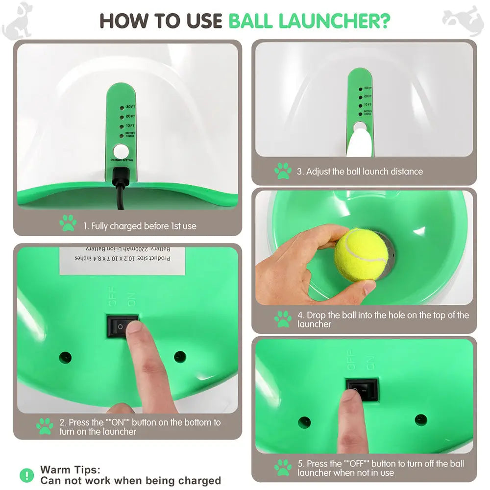 Portable Automatic Dog Ball Launcher for Backyard Use