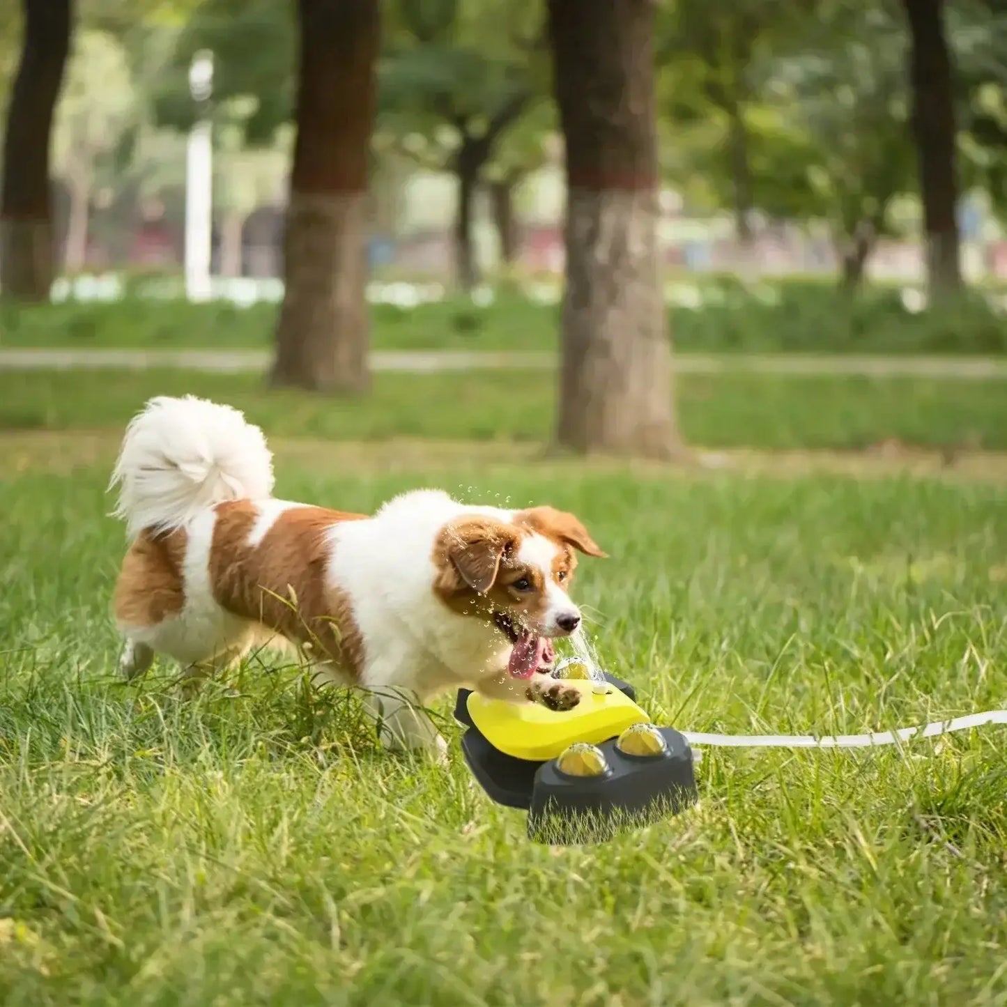 Heavy-Duty Dog Water Fountain for Outdoor Use