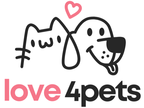 Labrador Retriever Care Guide: From Puppy to Adulthood