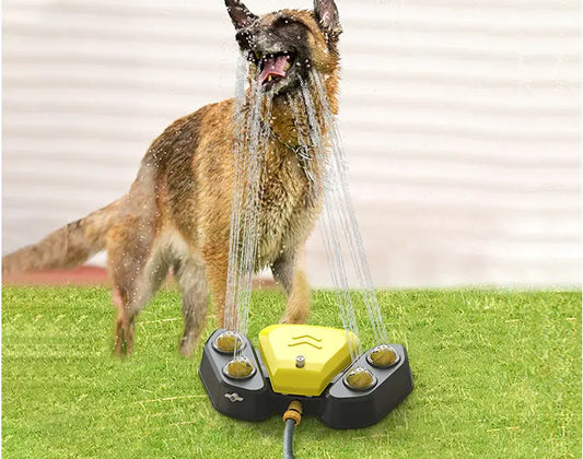 weatherproof dog water fountainsturdy dog water dispenserpet water fountain for yardoutdoor dog water fountainoutdoor dog water bowl fountainnon-electric dog water fountainmetal dog water fountainlarge dog water fountain outdoorheavy-duty outdoor pet fountainhigh-capacity dog water fountainheavy-duty outdoor pet fountainheavy-duty dog water fountaingarden dog water fountainfoot pedal dog water fountaindurable dog water fountaindog water station for outdoorsdog water fountain with hose attachmentdog water fo