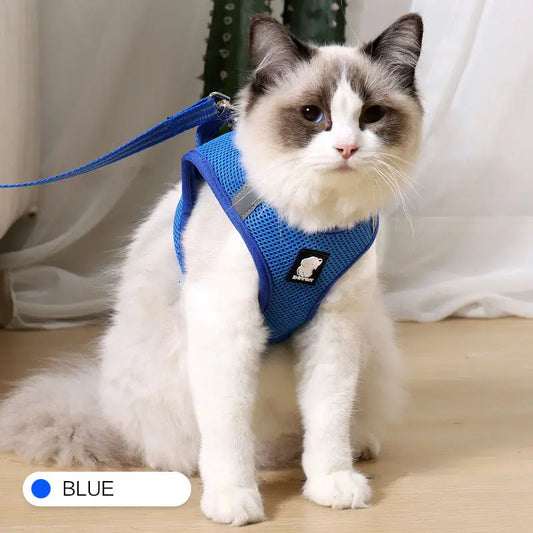 soft mesh cat harnesssecure fit cat harnesssafe outdoor cat harnesspadded cat harnessno-pull cat harnesslightweight cat harnessdurable cat traction harnesscomfortable cat walking harnesscat traction harnesscat leash and harness setcat harness with leash attachmentcat harness to prevent pullingcat harness for outdoor walkingbreathable cat harnessanti-strike cat harnessanti-pull cat harnessanti-escape cat harnessadjustable cat harness