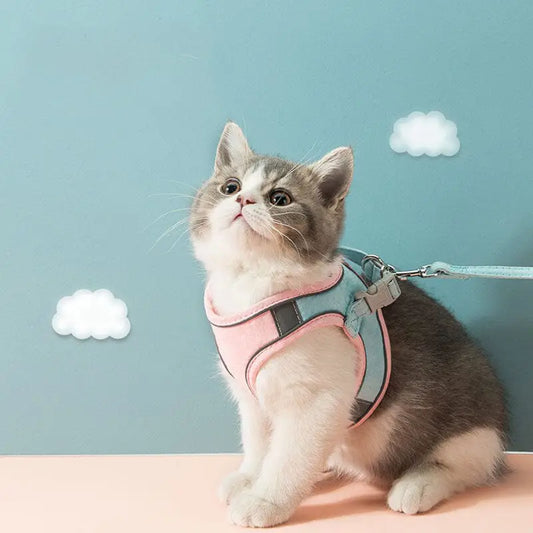 walking harness for catssoft cat harness and leash setsecure cat harness for walkingpet harness and leash for catspadded cat harness and leashno-escape cat harness and leashlightweight cat harness setescape-proof cat harness and leasheasy fit cat harness setdurable cat harness and leash setcomfortable cat harness for walkingcat walking leash and harnesscat leash and harness for travelcat harness with adjustable strapscat harness for safe outdoor walkscat harness for outdoor walkingcat harness and leash setb
