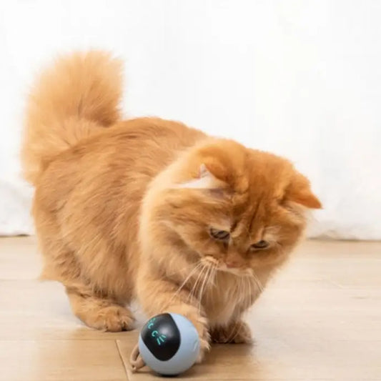 Hands-Free Smart Cat Toy for Active and Curious Cats