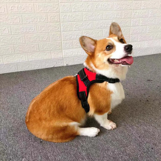step-in adjustable dog harnesssoft dog harness for petssecure fit dog harnesspet harness adjustable fitpadded dog harness for comfortno pull adjustable dog harnesslightweight dog harnesseasy fit dog harnessdurable comfort dog harnessdog walking harness adjustabledog harness with easy strapsdog harness for small dogsdog harness for large dogs adjustabledog body harness with paddingcustom fit dog harnesscomfort fit dog harnessbreathable comfort dog harnessadjustable pet harness with clipsadjustable harness fo