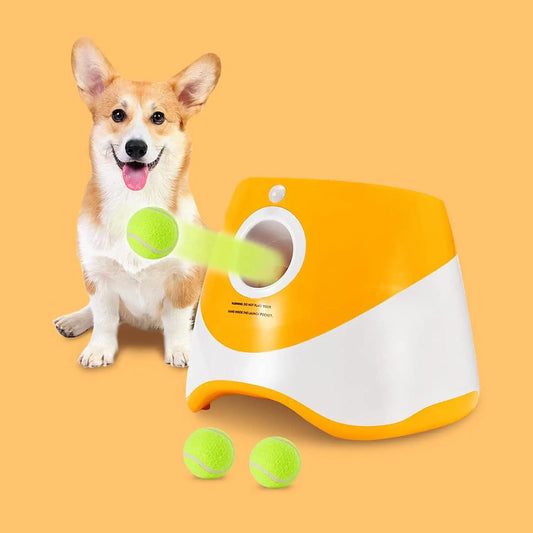portable fetch machine for dogsportable dog ball launcheroutdoor dog ball launcherinteractive dog ball launcherfetch toy for dogs automaticelectric dog ball launchereasy to carry dog ball launcherdog training ball launcherdog fetch ball launcherdog ball thrower machinedog ball launcher for small dogsdog ball launcher for backyardcompact dog ball launcherball throwing machine for dogsbackyard fetch machine for dogsautomatic tennis ball launcher for dogsautomatic fetch machine for dogsautomatic dog fetch toya