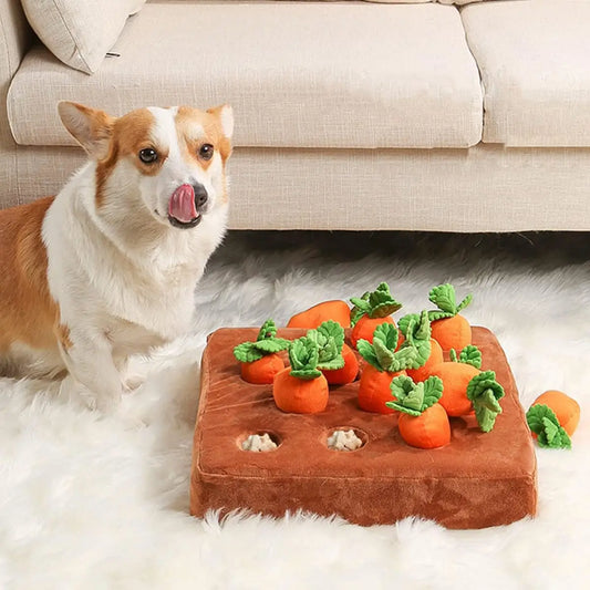 soft carrot toy for dogsplush vegetable dog toyplush interactive farm dog toyplush dog toy for interactive playplush carrot toy for dogsinteractive vegetable dog toyinteractive plush toy for puppiesinteractive plush dog toyhide and seek dog toy carrotfarm-themed dog toydog toy with hidden carrotsdog snuffle toy carrotdog puzzle toy carrotdog enrichment toy carrotdog boredom buster carrot toycarrot farm snuffle dog toycarrot farm dog toycarrot dog toycarrot digging toy for dogs