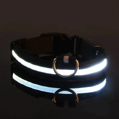LED Dog Collar – USB Rechargeable, Waterproof & Night Safety Light
