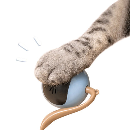Hands-Free Smart Cat Toy for Active and Curious Cats