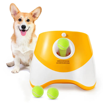Portable Automatic Dog Ball Launcher for Backyard Use