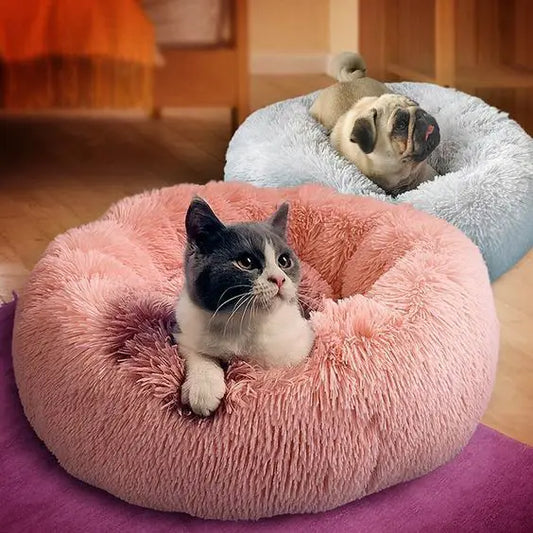 supportive memory foam dog bedsoft memory foam pet bedremovable cover dog bedpet bed with memory foamorthopedic dog bedmemory foam dog mattressmemory foam dog bedmachine washable dog bedluxury memory foam dog bedlarge dog bed memory foameasy-clean dog beddurable memory foam dog beddog bed with washable coverdog bed with removable coverdog bed with orthopedic supportdog bed for older dogsdog bed for joint paincozy dog bed memory foamcomfortable dog bed memory foamcalming donut cat bed
