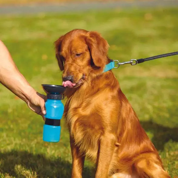 Pet Drinking Water Bottle hghety 