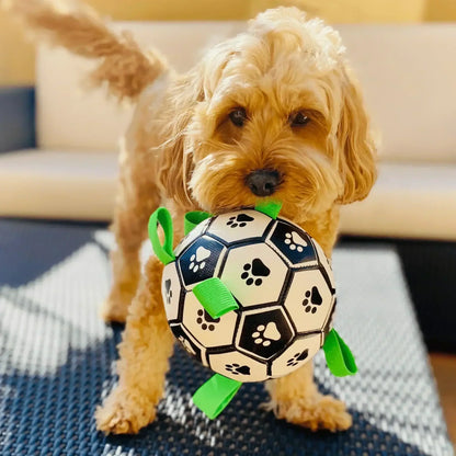 Soft Rubber Dog Soccer Ball for Safe Chewing