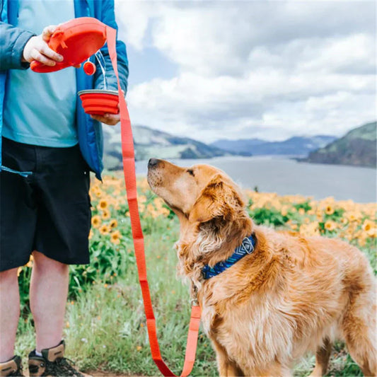 dog leash with water bowl