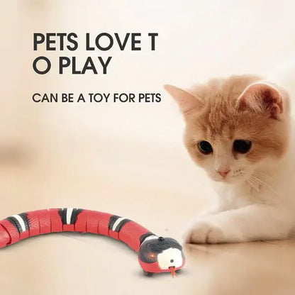 wiggle snake cat toysmart moving cat toysmart interactive cat toysmart cat toy with sensorsensor activated snake toyrobotic snake cat toyrealistic snake toy for catsrealistic moving snake toymoving snake toy for catsmotion sensor cat toymotion activated cat toyinteractive cat snake toyhigh-tech cat toy snakefunny snake toy for catselectronic cat snake toyelectric snake toy for catscat toy with movementcat toy that moves like a snakecat toy that mimics preyautomatic cat toy snake
