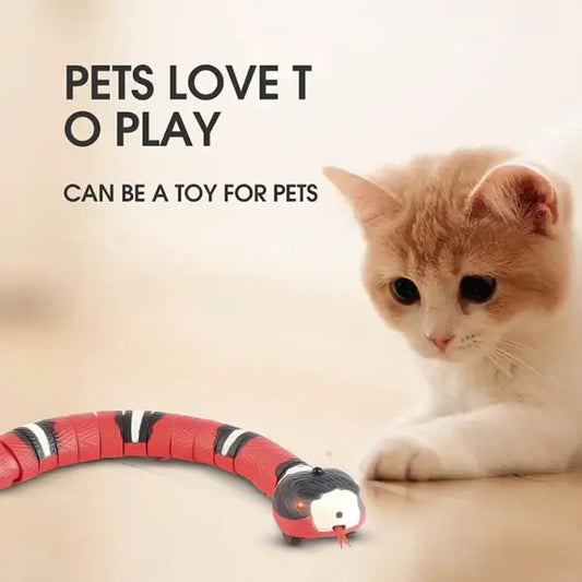wiggle snake cat toysmart moving cat toysmart interactive cat toysmart cat toy with sensorsensor activated snake toyrobotic snake cat toyrealistic snake toy for catsrealistic moving snake toymoving snake toy for catsmotion sensor cat toymotion activated cat toyinteractive cat snake toyhigh-tech cat toy snakefunny snake toy for catselectronic cat snake toyelectric snake toy for catscat toy with movementcat toy that moves like a snakecat toy that mimics preyautomatic cat toy snake